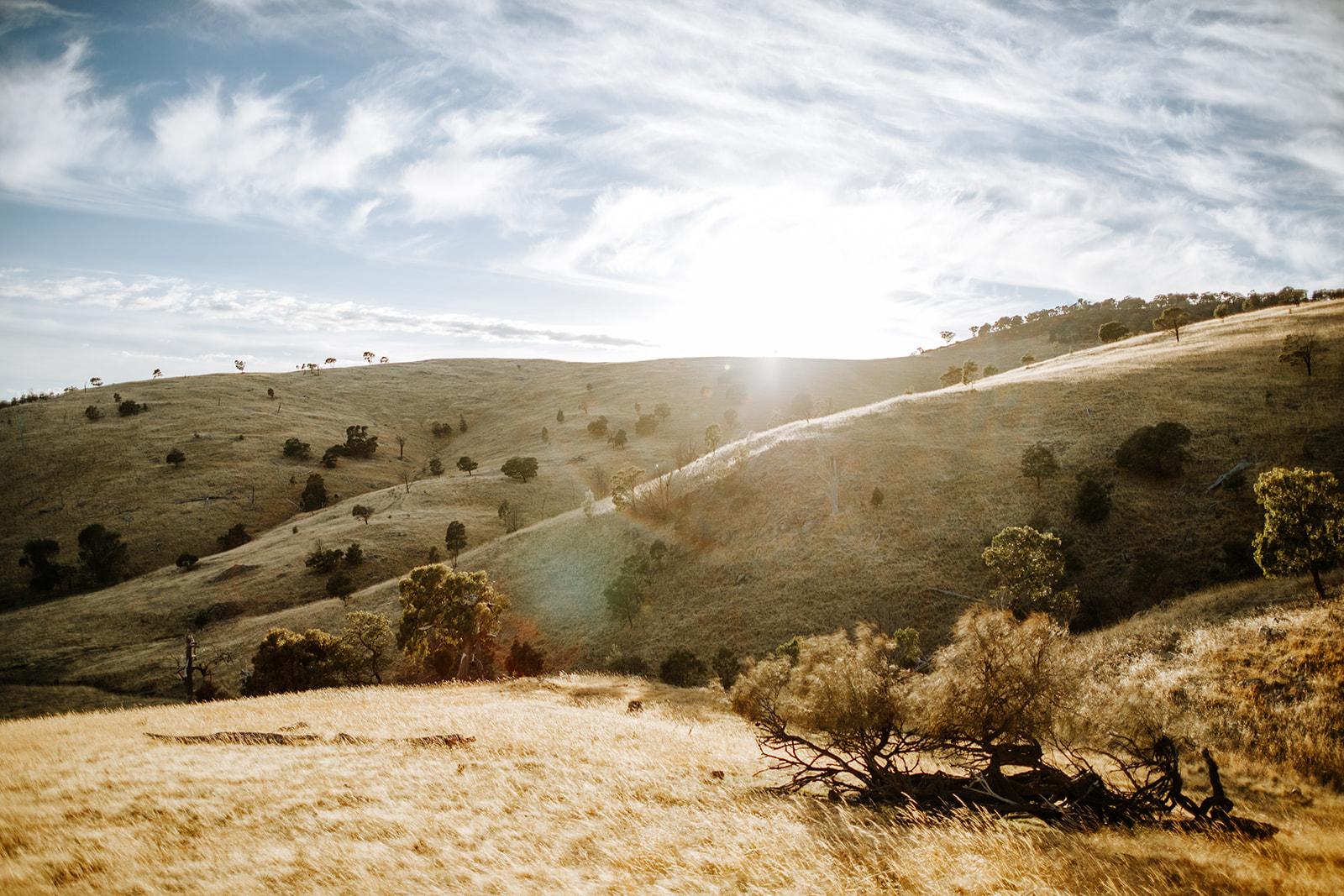 Golden landscape of the the Macedon Ranges in Victoria